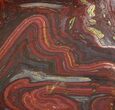 Polished Tiger Iron Stromatolite - ( Billion Years) #62772-1